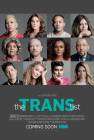 The Trans List poster
