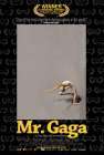 Mr. Gaga poster