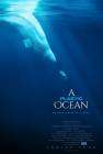 A Plastic Ocean poster