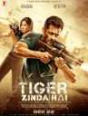 Tiger Zinda Hai poster