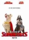 Super Pets poster