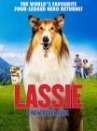 Lassie: A New Adventure poster