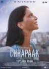 Chhapaak poster