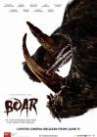 Boar poster