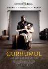 The Documentary of Dr G Yunupingu's Life poster