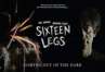 Sixteen Legs poster