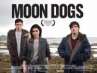 Moon Dogs poster