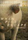When Pigs Escape poster